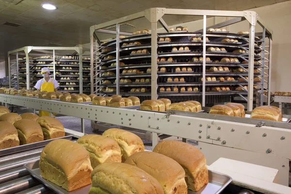 Fabryka chleba Zdjęcie Stockowe