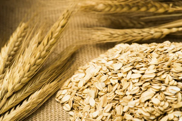 Пшениця і вівса на мішку — стокове фото