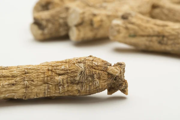 Dry ginseng roots — Stock Photo, Image