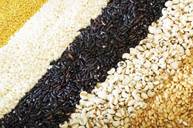 Renkli çizgili rices dizeleri