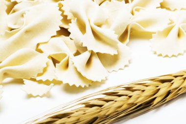 Farfalle capellini doku