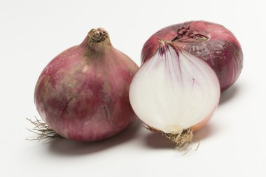 Beyaz arkaplanda taze soğan