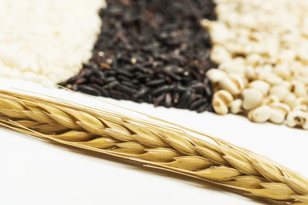 Змішані риси і пшениця — стокове фото