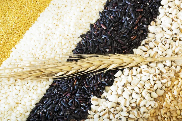 Змішані риси і пшениця — стокове фото