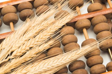 Abaküste buğday kulağı