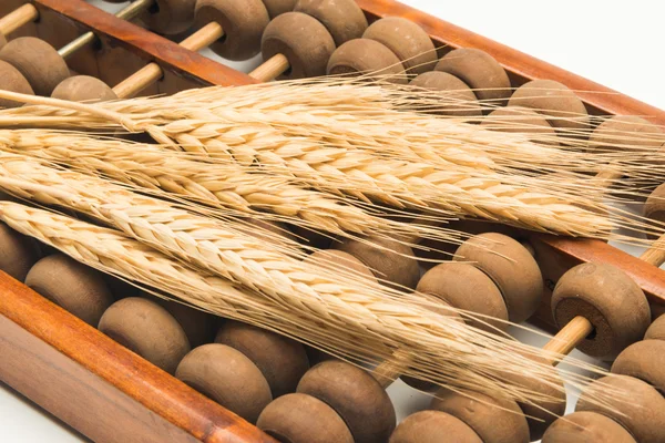 Abaküste buğday kulağı