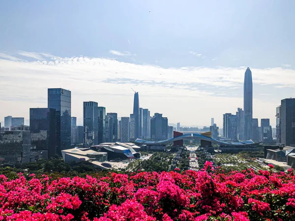 Cityscape Του Shenzhen Guangdong — Φωτογραφία Αρχείου