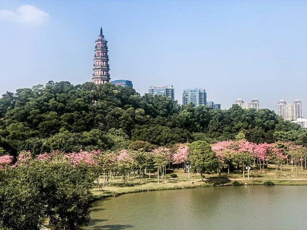 Scenario Naturale Della Città Shunde Guangdong — Foto Stock