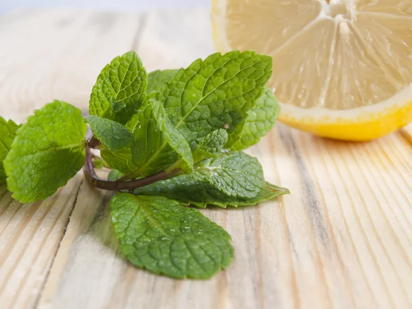 Menta e limone — Foto Stock