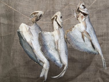 kurutulmuş balık