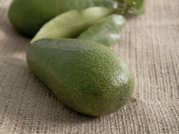 Avocado on a bag — Stock Photo, Image
