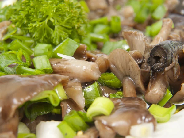 Salad from mushrooms — Stock Photo, Image