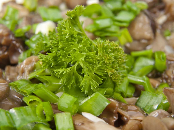 Parsley leaf on salad — Stock Photo, Image
