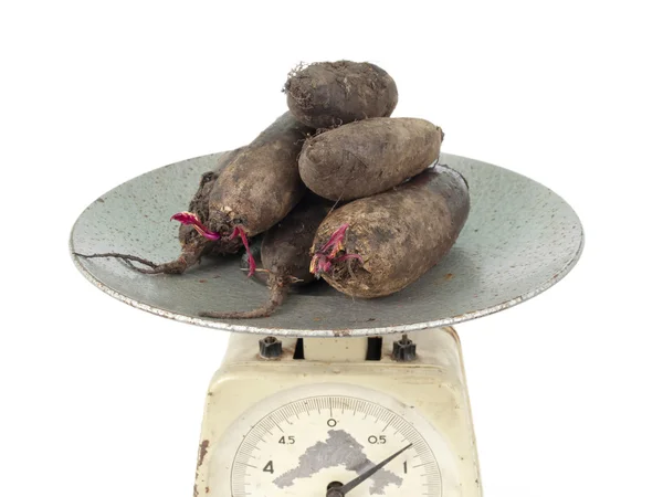 Beet on scales — Stock Photo, Image