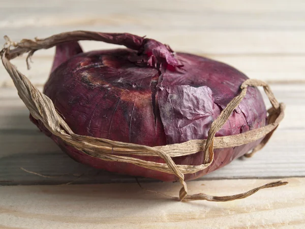 En lök på ett bord — Stockfoto