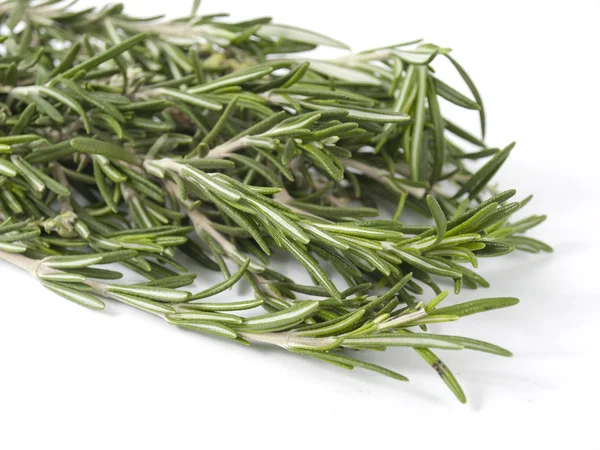 Rosemary on a white background — Stock Photo, Image