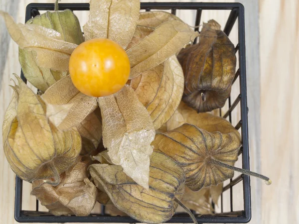 The exposed ground-cherry is in a box — Stock Photo, Image