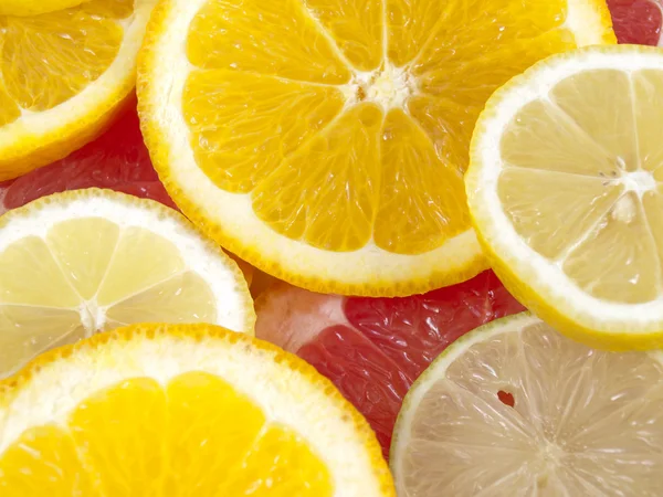 Ringar av citrusfrukter — Stockfoto