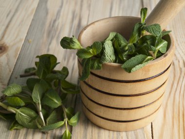 Nane sığ büyüyen