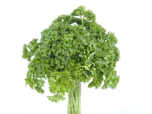 Tree from parsley — Stock Photo, Image