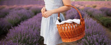 Yazın çiçek açan lavanta tarlasında duran bir kızın elindeki sepete yakın çekim. Hasır bir sepetin içinde şarap. Pankart.