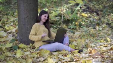 Sonbahar parkında ağaç altında dizüstü bilgisayarı olan serbest çalışan biri. Uzaktan çalışma ya da dışarıda öğrenim. Ormanda kablosuz internet kullanan dizüstü bilgisayarlı bir kız..