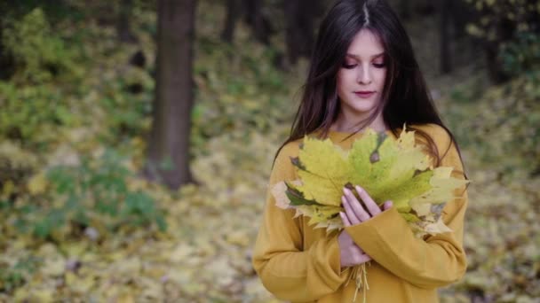 Herfst bladeren in de handen van een meisje, close-up, herfst bos, een boeket van gevallen esdoorn bladeren in vrouwelijke handen. Kamperen in de herfst, vrouwelijke vertrouwelijke glimlach. — Stockvideo