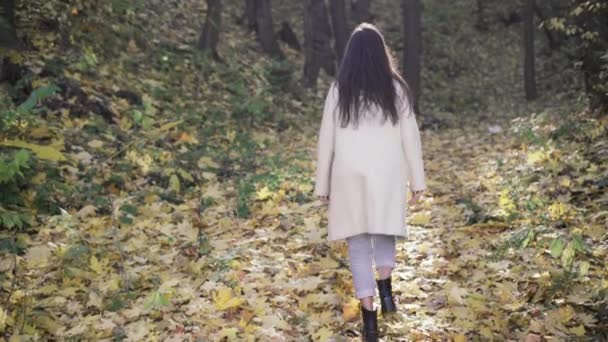 Стильная девушка в пальто в осеннем лесу, прогулка по опавшим желтым листьям, женщина, выходящая вдоль тропы, вид сзади. — стоковое видео