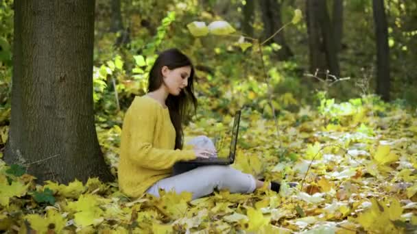 自然の中でノートパソコンを操作する本物のフリーランサーの女の子屋外のPC上でのリモートワーク葉と秋の公園 — ストック動画