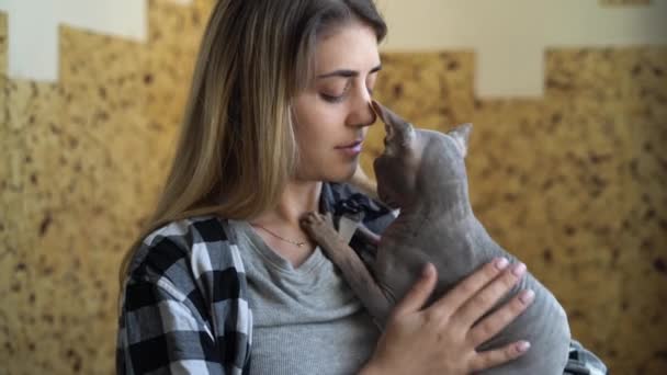 Close-up de uma menina loira com um gato esfinge cinza em seus braços, cuidado e amor de um animal adulto, animal de estimação. — Vídeo de Stock