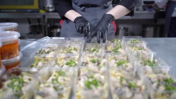 Gezond voedsel bereiden. Het keto dieet. Zelfgemaakt voedsel. wegwerp afhaalmaaltijden containers en lunchbox. Lunchpakket. Voedsellevering, afhaalmaaltijden, — Stockvideo