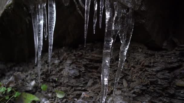 春には山の中で氷が溶け太陽の下で水が流れ — ストック動画