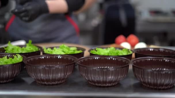 Cibo da asporto al ristorante. il primo piano di mani di chef in guanti mette foglie di lattuga in un contenitore disponibile di plastica per consegna di cibo. — Video Stock