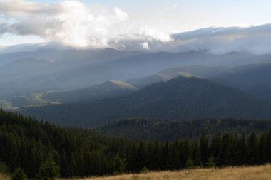 Kudretli Karpat dağlarındaki kozalaklı ormanın muhteşem panoramik manzarası ve bulutlu gökyüzünün güzel arka planı. Vahşi bakire Ukrayna doğasının güzelliği. sakinlik