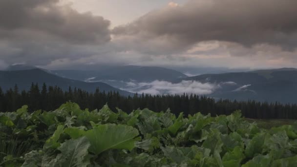 Neuvěřitelně krásný časový odstup hory za soumraku nebo úsvitu, kdy se mraky utvářejí a míjejí vrcholky hor. — Stock video