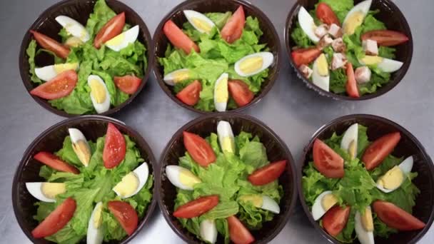 Ételszállítás az étteremben. egy diétás saláta első látásra egy eldobható tálban, a séf keze csirkehúst tesz az uzsonnás dobozokba.. — Stock videók