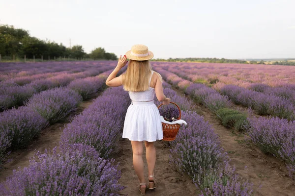 Woman White Dress White Hat Lavender Fields Lady Walking Lavender — 图库照片