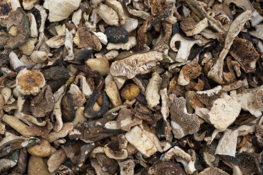 Close-up of a pile of dried forest mushrooms for cooking. The background