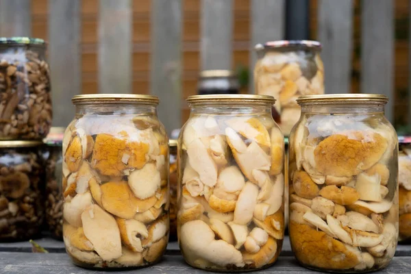 Porcini Mushrooms Canned Jar Wooden Shelf Copy Space — Stockfoto