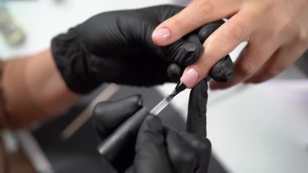 Процесс изготовления маникюра, макро. Крупный план нанесения базового слоя на ногти клиента женского пола с помощью кисти. Красота и уход за ногтями — стоковое видео