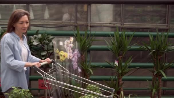 Vista da mulher com um carrinho de compras comprando plantas de sala em um centro de jardim. Uma mulher escolhe um ficus e um orchid do benjamin para sua casa em um berçário da planta. — Vídeo de Stock