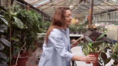 Gülümseyen kadın bahçe merkezinde kapalı alan bitkilerini seçiyor. Bir kadın evi için bir bitki bakım evinden çiçek alır. İnternette bilgi aramak için akıllı telefondan bir incir ağacının fotoğrafını çeker..