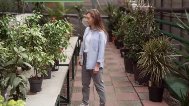 Concept van tuinieren, planten en winkelen. Mooie volwassen vrouw kiest indoor planten en potten in een kas of tuincentrum. dame in casual kleding koopt ficus bloemen in een winkel in een winkelcentrum. — Stockvideo