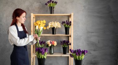 Küçük işletme konsepti. Önlüklü güzel bir çiçekçi kadın laleli bir gösterinin yanında durup bir buket lale topluyor. Çiçek teslimatı. Pankart. Boşluğu kopyala.