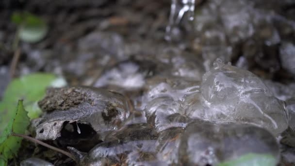 Icicles and a drop of melt water close-up. Derretimiento de nieve. El comienzo de la estación cálida, el final del invierno. Ilustración brillante. — Vídeos de Stock