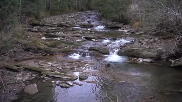 Râul muntos sălbatic curge prin bolovani de piatră. Abundență flux clar în carpați. Apa rece stropind aproape de rafale. Cascadă mică din roci în parcul național. — Videoclip de stoc