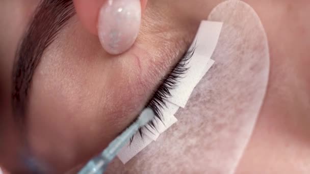 Master lash maker performs eyelash degreasing close-up. Eyelash extension procedure. — Video Stock