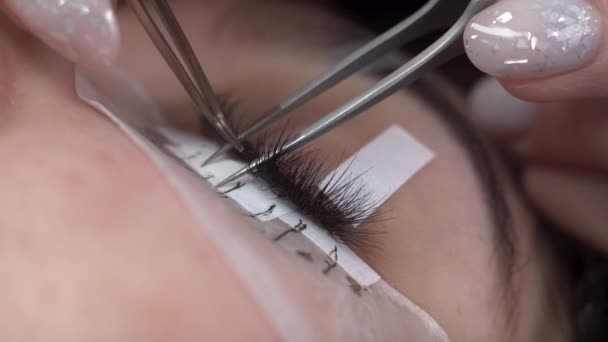 Eyelash care procedures lamination and eyelash extensions. close-up master spreads eyelashes with tweezers and pastes artificial eyelashes — Vídeo de stock