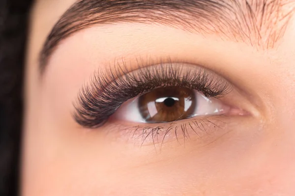 Eye Close Beautiful Woman Eyelash Eyebrow Correction Beauty Salon Eyelash — Foto Stock