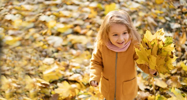 コートを着た幸せな女の子が秋に公園を歩くと 黄色の葉が落ち 手にカエデの葉の花束を持って喜んでいます コピースペース — ストック写真